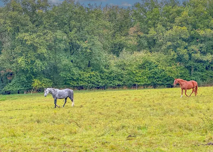 아파트 Panoramablick