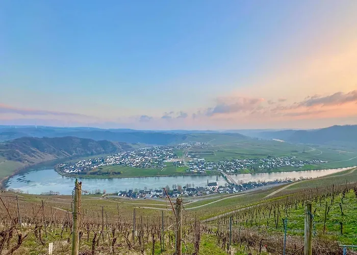 Panoramablick 아파트